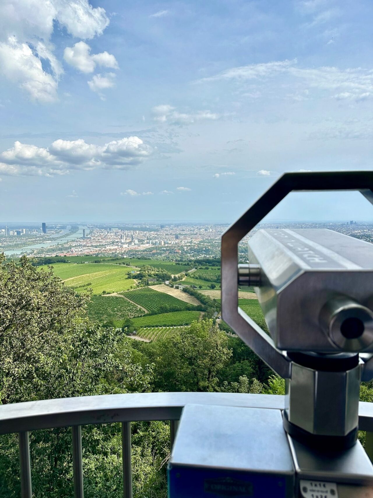 Kahlenberg IMG_2431