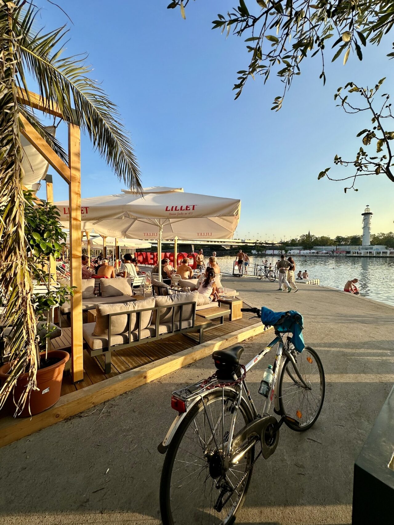 Neue DonauIMG_4846