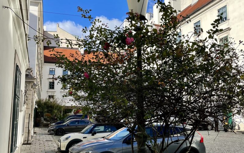 Heiligenkreuzerhof Innenhof Wien