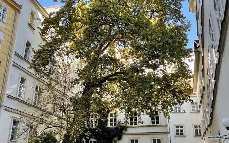 Fähnrichshof Innenhof Wien